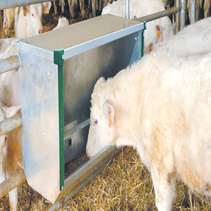 hang on gate fedeer