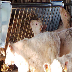 Modular Hay Rack
